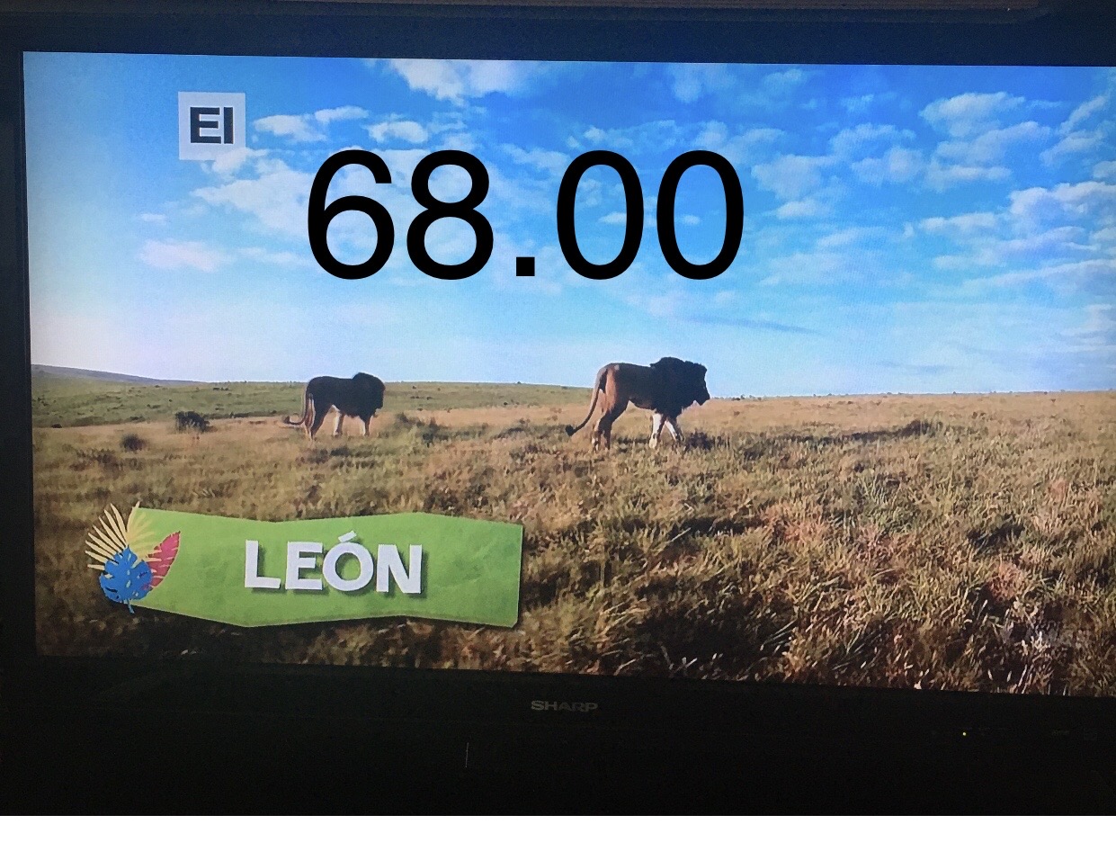 55
